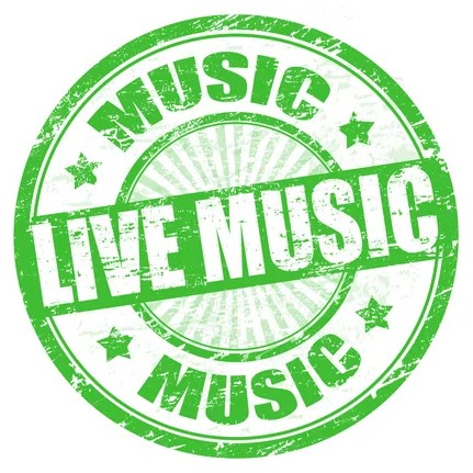 Live Music at Lizard Acres Pub with John Gamber