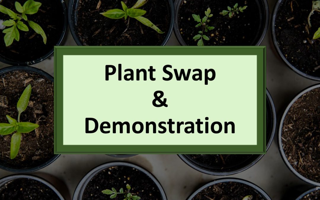 Plant Swap & Desert Garden Club Demonstration